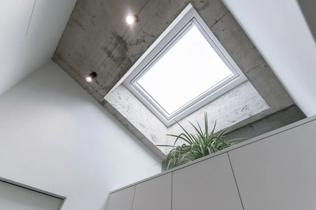 Projets – Miguel Carpintero