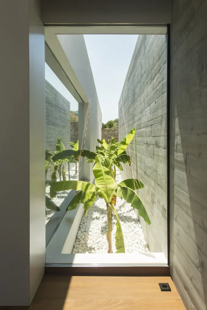 Projets – Miguel Carpintero