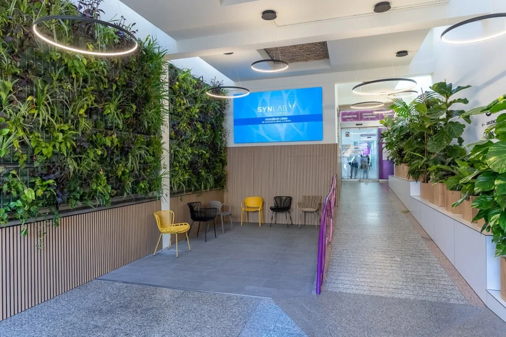 Projets – Miguel Carpintero