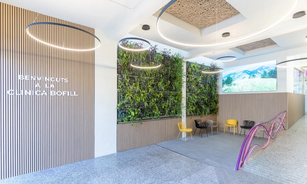 Projets – Miguel Carpintero